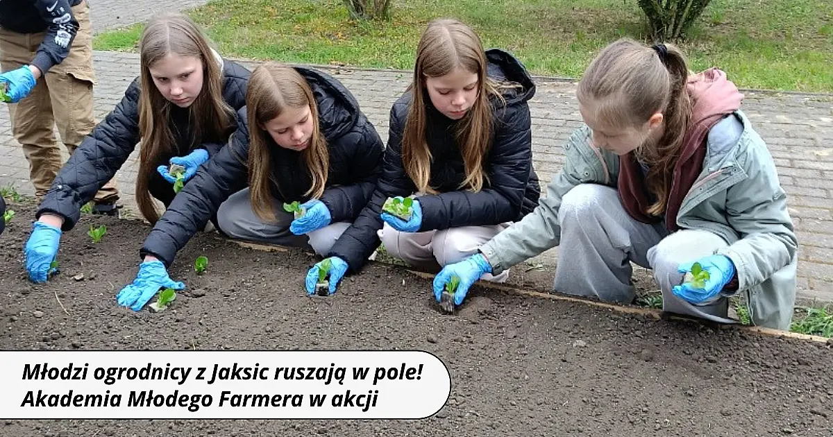 Młodzi ogrodnicy z Jaksic ruszają w pole! Akademia Młodego Farmera w akcji