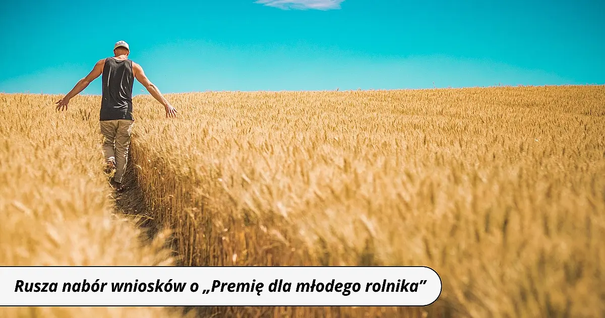 Rusza nabór wniosków o „Premię dla młodego rolnika”. Zdobądź nawet 300 tys. zł wsparcia!