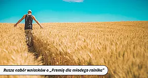 Rusza nabór wniosków o „Premię dla młodego rolnika”. Zdobądź nawet 300 tys. zł wsparcia!