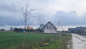 Nowe drzewa w Gminie Inowrocław