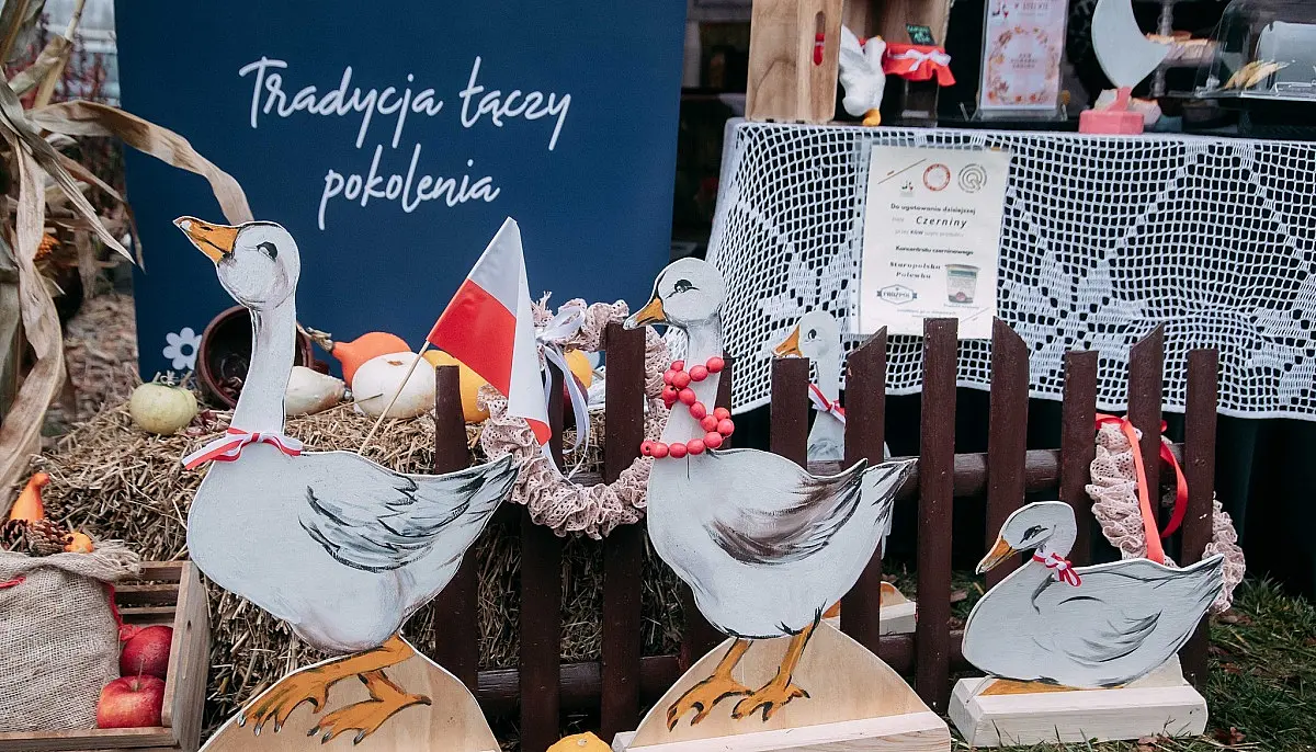 II Festiwal Gęsi w Łojewie