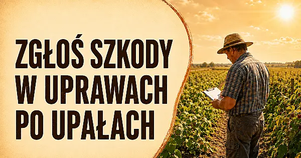 Zgłaszanie szkód w uprawach spowodowanych wysokimi temperaturami