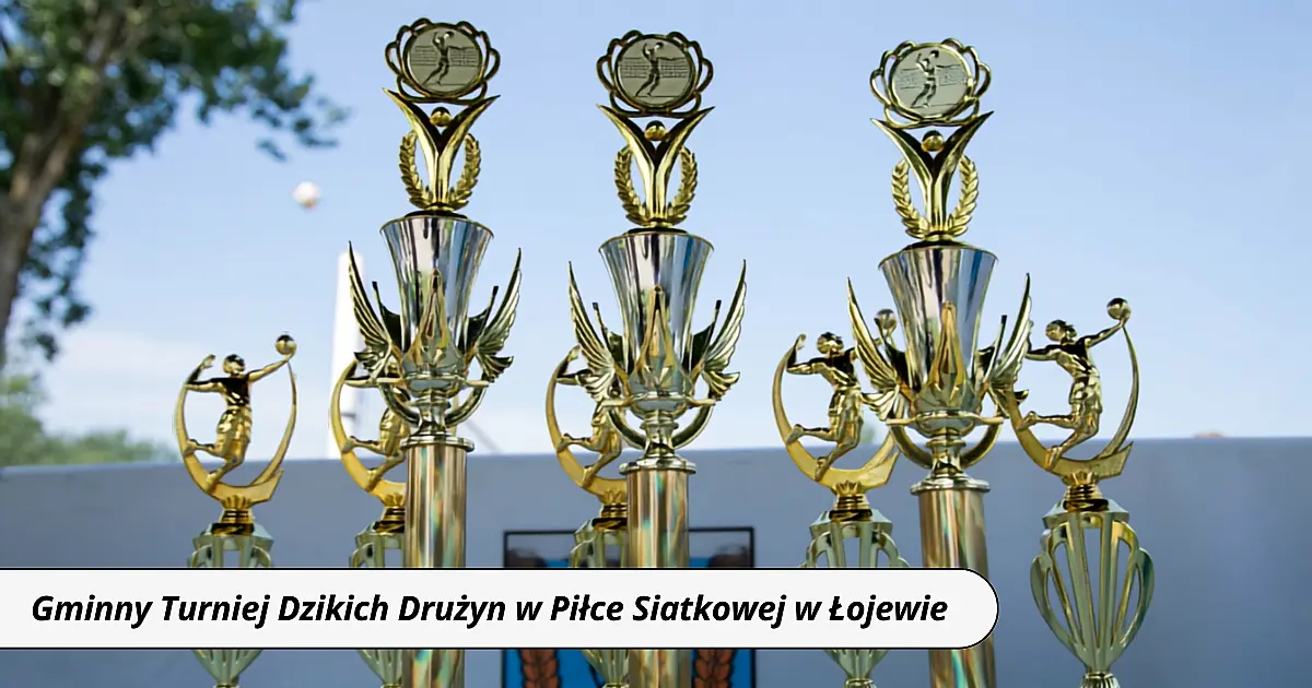 Sportowe emocje podczas Gminnego Turnieju Dzikich Drużyn w Piłce Siatkowej