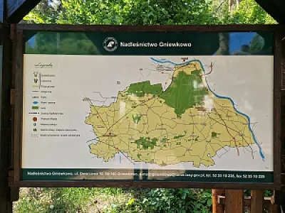 2026-05-27 Uczniowie SP Jaksice w Balczewie - Nadleśnictwo Gniewkowo