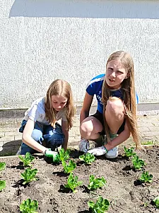 2026-06-19 Mali ogrodnicy, wielka wiedza – finał projektu „Akademia Młodego Farmera” w SP Jaksice