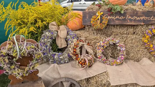 2026-09-05 Dożynki Powiatowo-Gminne - Rojewo 2026