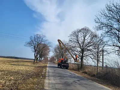 2025-03-19 Przycinka drzew - pielęgnacja